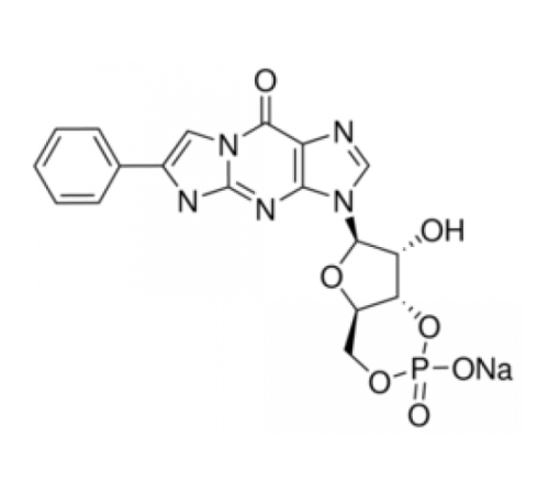 ПЭТ-цГМФ 98% (ВЭЖХ), твердый Sigma P0622