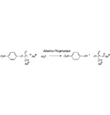 Фосфатаза, щелочная из телячьей кишки (CIP) grade II, AppliChem, 1 г
