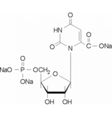 Тринатриевая соль оротидина 5'-монофосфата 99% (ВЭЖХ), порошок Sigma O1376