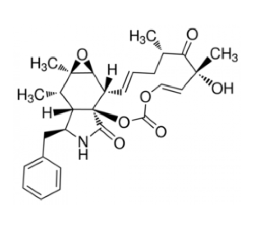 Цитохалазин E из Aspergillus clavatus, Sigma C2149