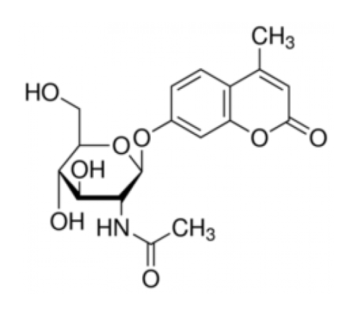 Субстрат 4-Метилумбеллиферил N-ацетиββ D-глюкозаминидβN-ацетилгексозаминидазы Sigma M2133